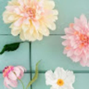 Meet your Posher, Aymee